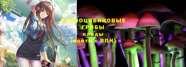 дурь Абдулино