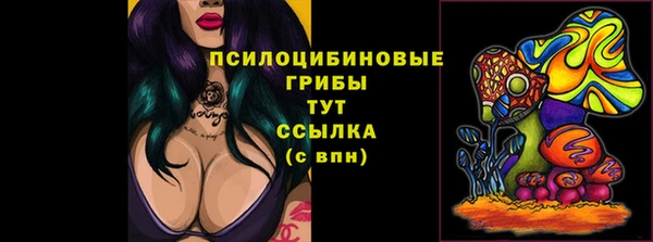 spice Абаза