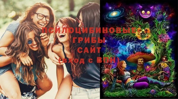spice Абаза